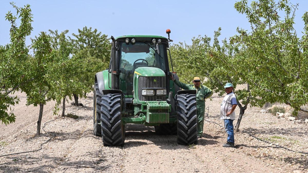 Un agricultor de la cooperativa de El Pinós, en tareas de recolección de frutos secos en una imagen de archivo.