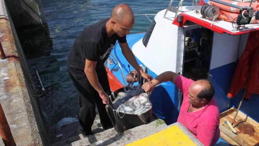 Dos marineros descargan pulpo en un puerto gallego para su posterior subasta en lonja.