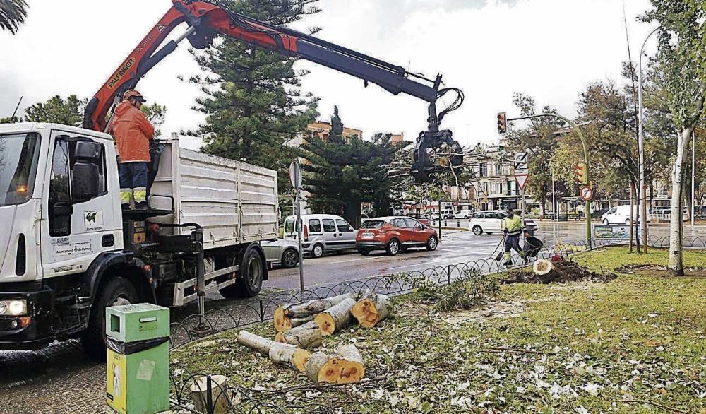 Vientos de hasta 119 kilómetros causan decenas de incidentes en la isla