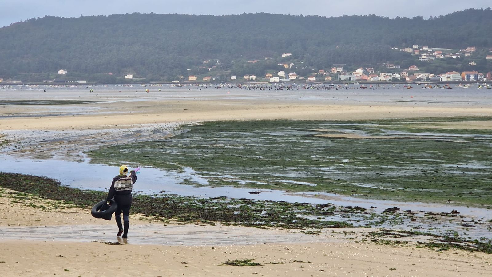 Así es el día a día en el puerto y la lonja de O Testal (Noia), donde cada vez se dan cita más mariscadores arousanos.