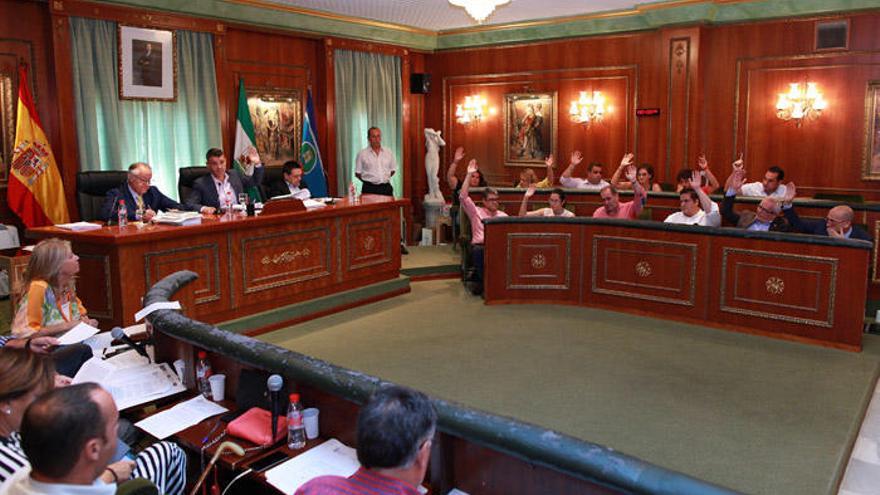 Imagen del pleno del Ayuntamiento de Marbella.