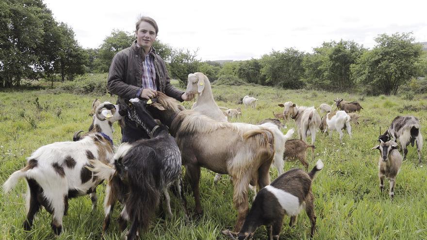 La formación que sostiene el rural: ganadería, forestal y jardinería ganan peso en la FP pública