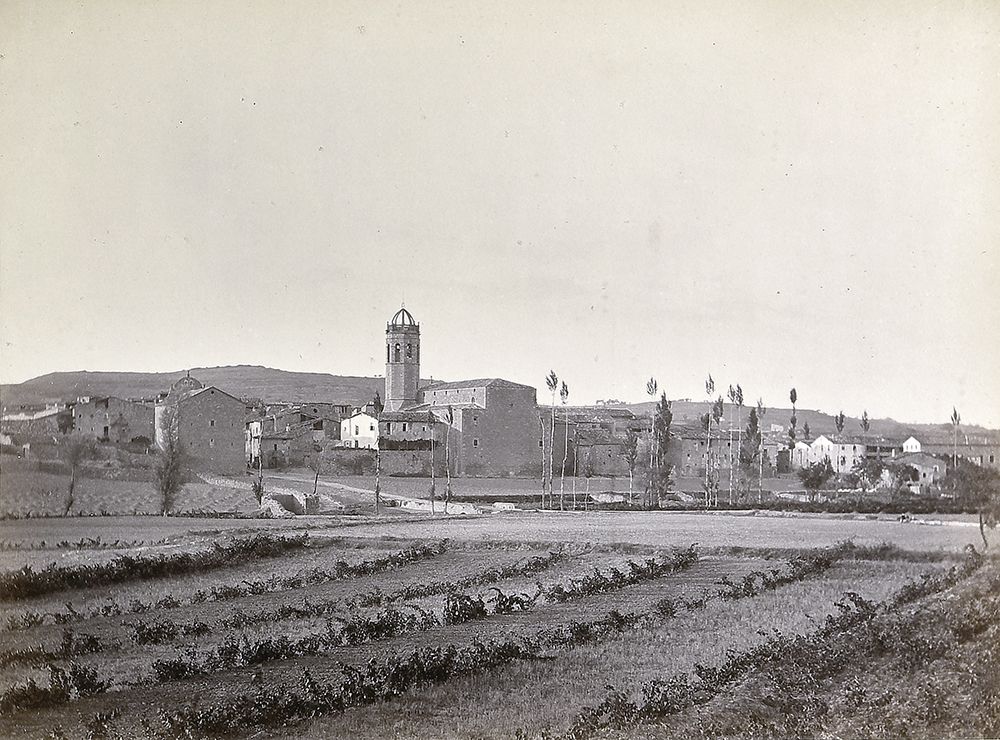El mateix tipus de vinya campa, a Prats de Rei l’any 1890