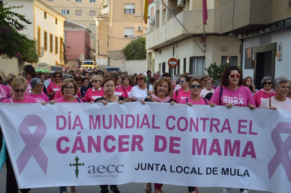 Marcha en Mula contra el cáncer de mama