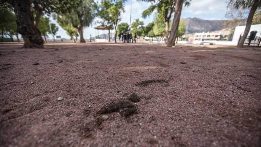 Piden mejoras para el parque Antonio Lozano