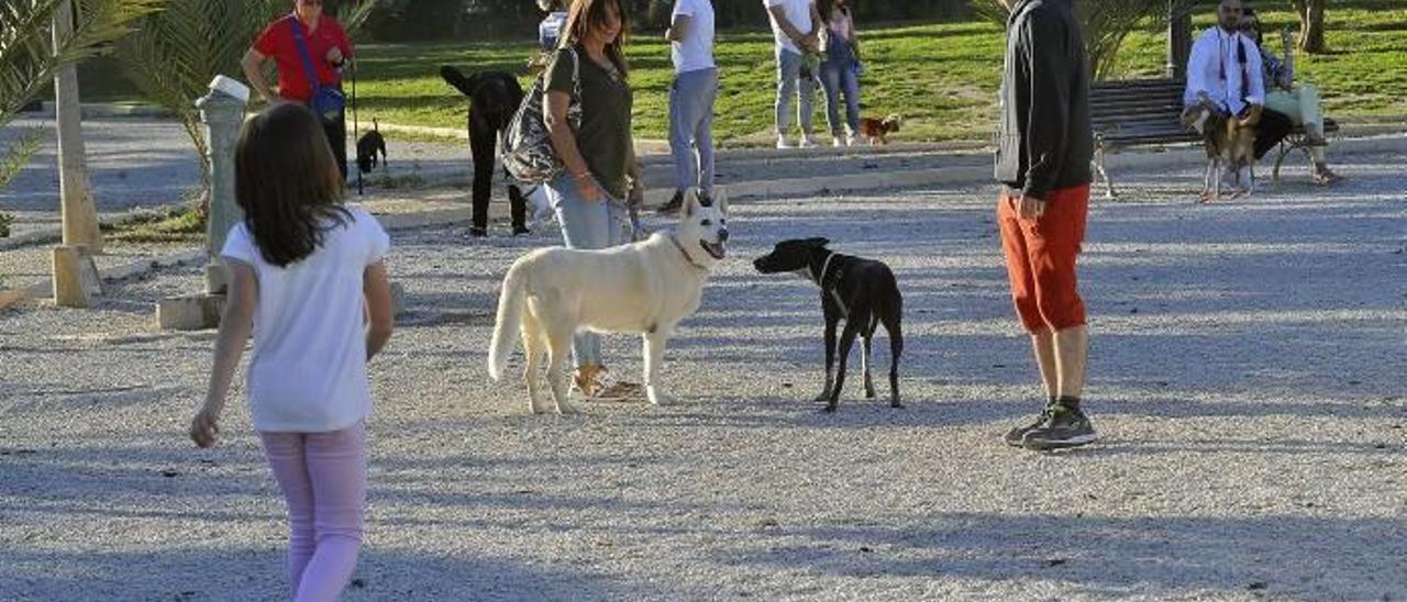 El Ayuntamiento multiplica por diez las sanciones a los propietarios de perros por orines y excrementos