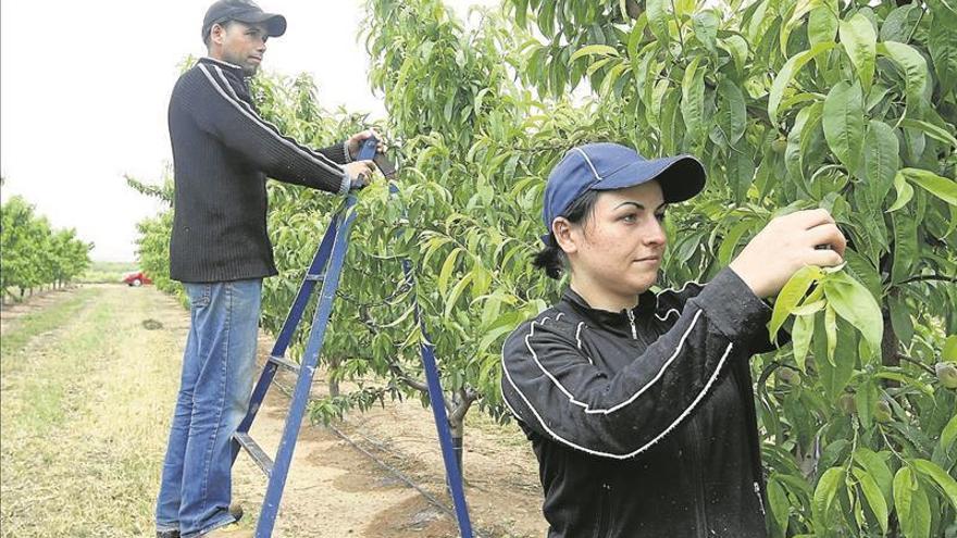 La campaña crea 31.641 empleos en el segundo trimestre