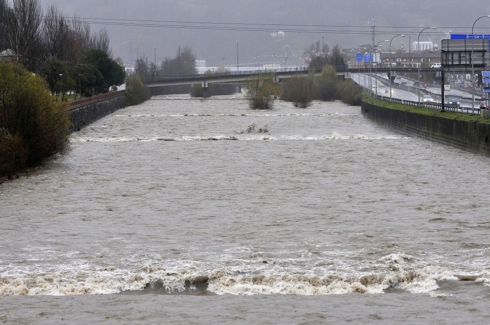 El río Caudal, crecido por las lluvias del temporal.