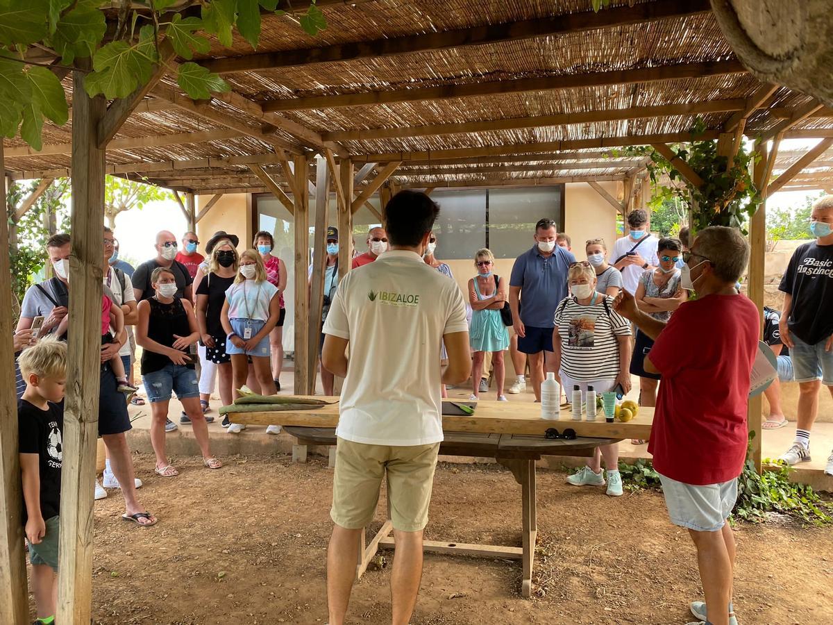 Los cruceristas reciben las explicaciones de los expertos de Ibizaloe