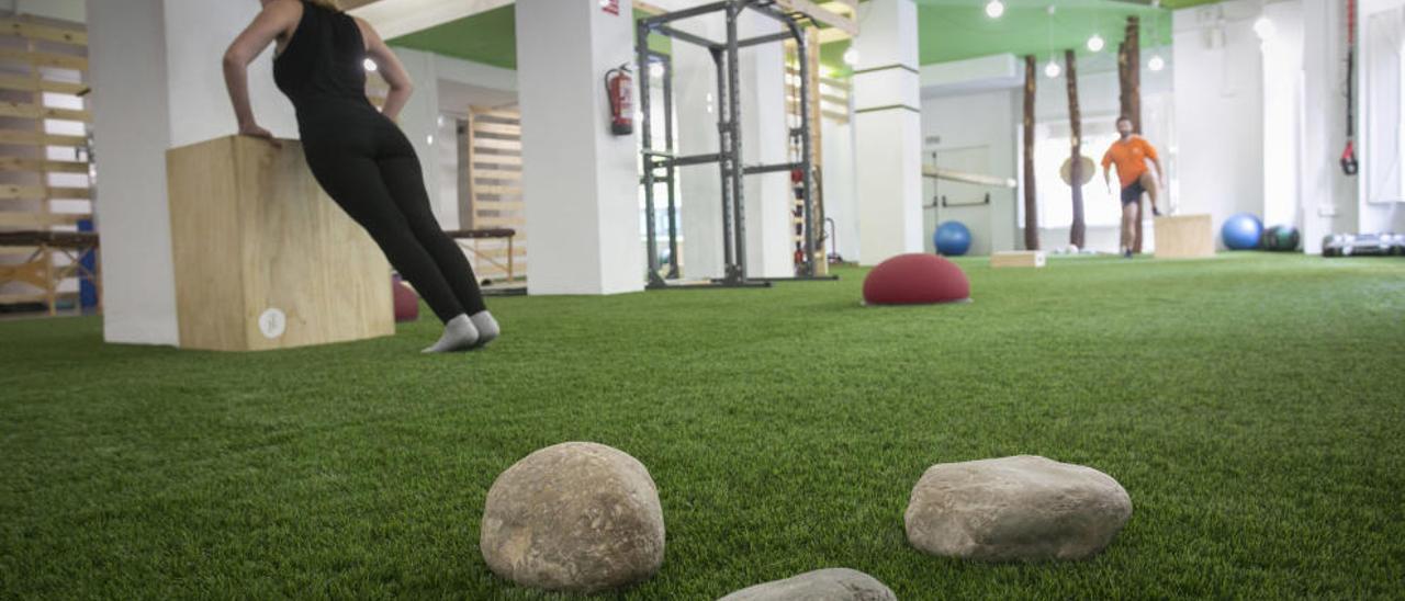 Un gimnasio sobre hierba