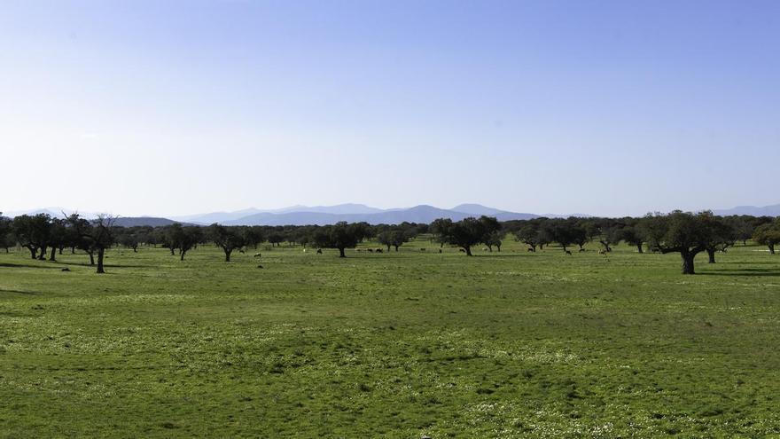 El sol se abre paso en Extremadura: llega una tregua en el tiempo