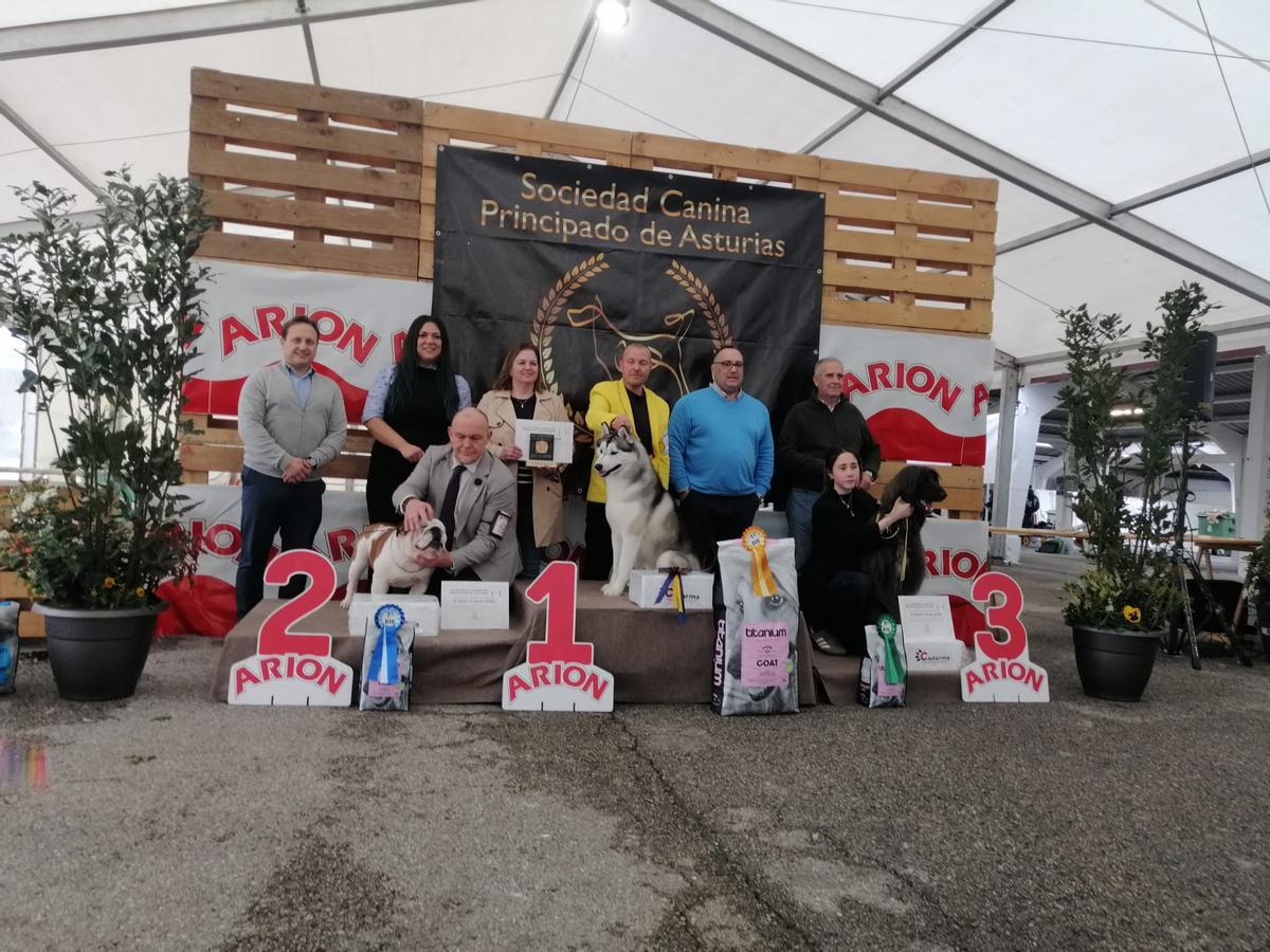 Foto de familia con el podio de los mejores de la categoría "con pedigrí" con "Ulber" en el centro.