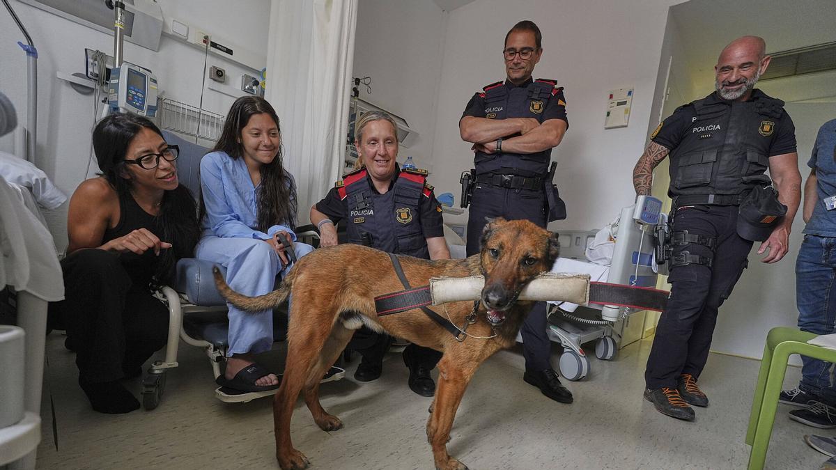 Les imatges dels Mossos d’Esquadra al Trueta per donar suport a la recerca pediàtrica