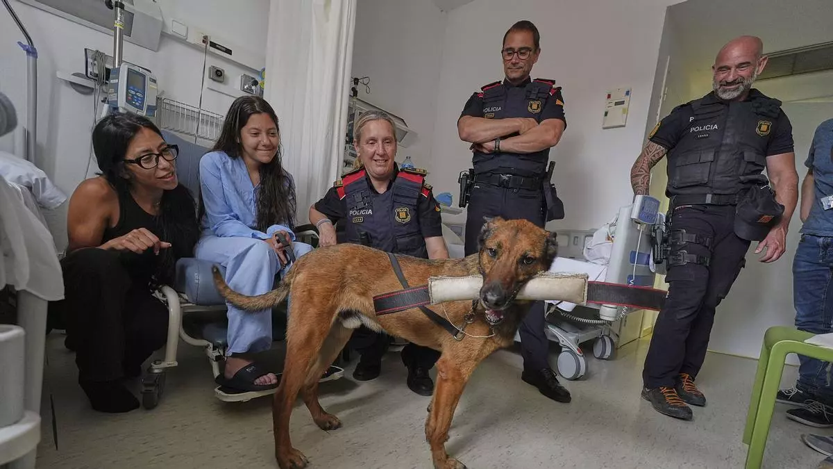 Els Mossos d’Esquadra tornen al Trueta per donar suport a la recerca pediàtrica
