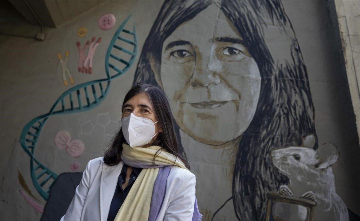 La bióloga molecular y directora del Centro Nacional de Investigaciones Oncologica (CNIO), María Blasco, ante el mural con su imagen que preside la entrada principal del Instituto de Educación Secundaria (IES) Sorolla de Valencia.