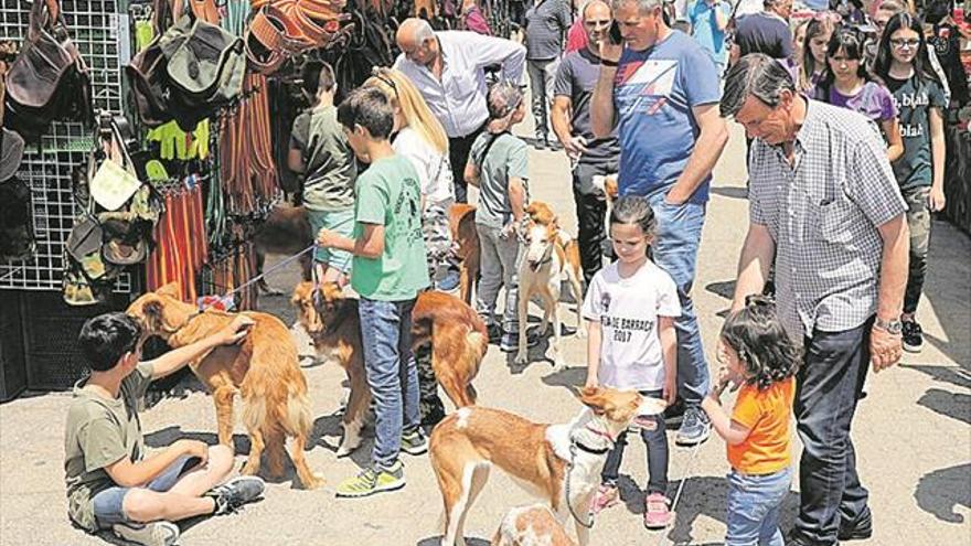 La caza reivindica su papel como «bien social» en la Fira del Conill