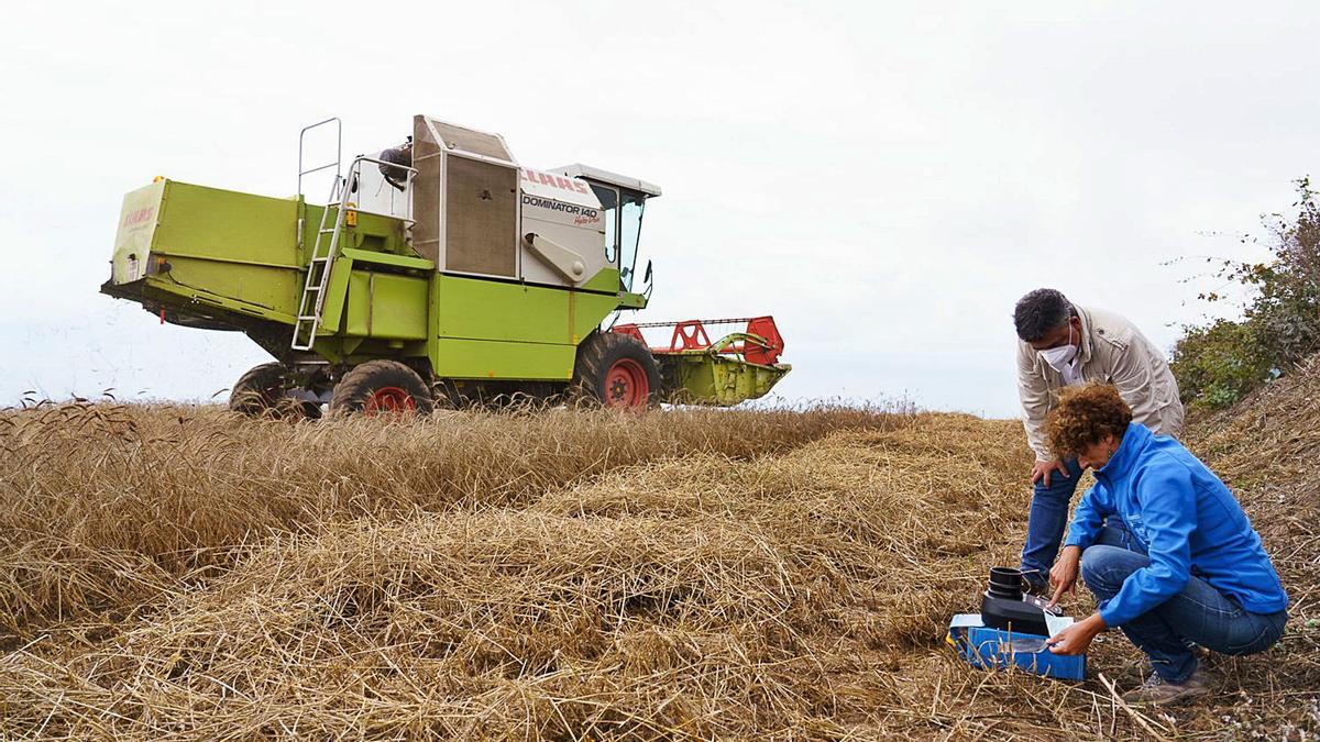 El consejero Parrilla comprueba en el campo tinerfeño, en concreto en Icod el Alto,  el funcionamiento de una de las máquinas adquiridas .