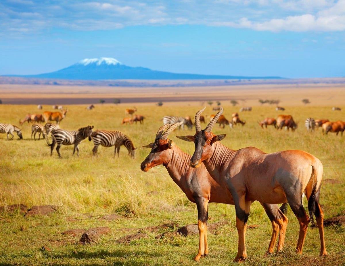 Parque Nacional Amboseli, Kenia
