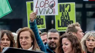 Las calles de Madrid escuchan el grito "lobo vivo y protegido"