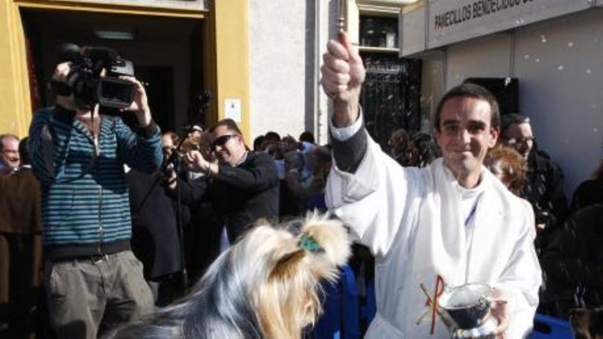 Las mascotas son levantadas por sus dueños a la hora de la bendición.