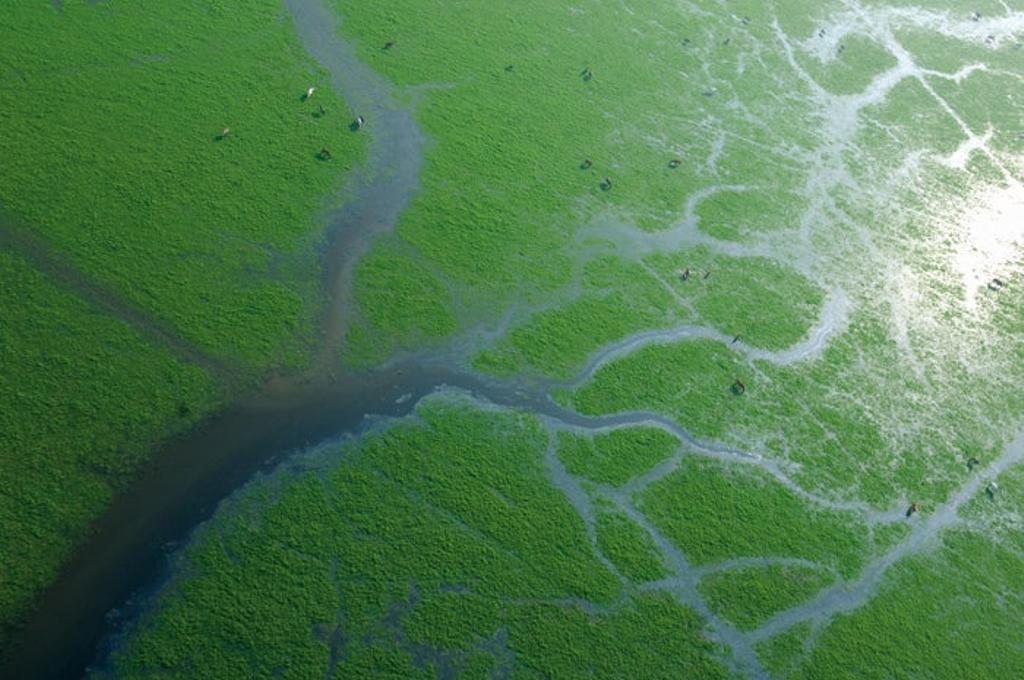 Una de las imágenes fractales que sirvieron de inspiración para la película “La isla mínima”