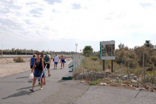 Mal estado de las Palmeras en el Oasis de Maspalomas y el Parque Tony Gallardo