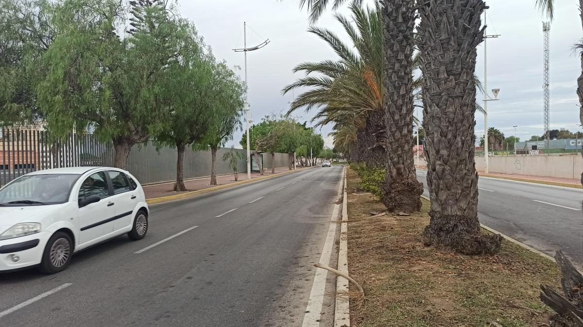 Avenida donde se produjo el accidente. A la derecha, acceso al Palacio de los Deportes de Torrevieja