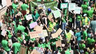 Huelga indefinida de los profesores en Castellón: La organización califica de "histórica" la movilización