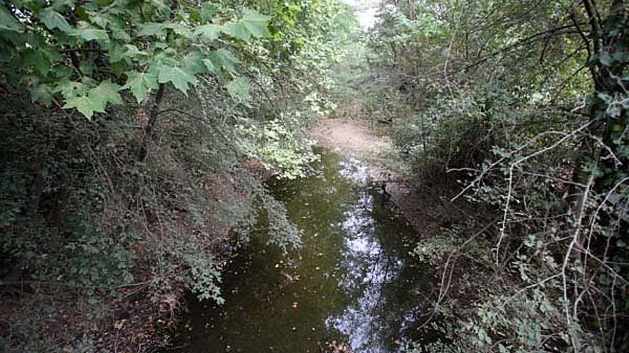 Una de les zones de la séquia de Vallcanera que s&#039;arranjarà.