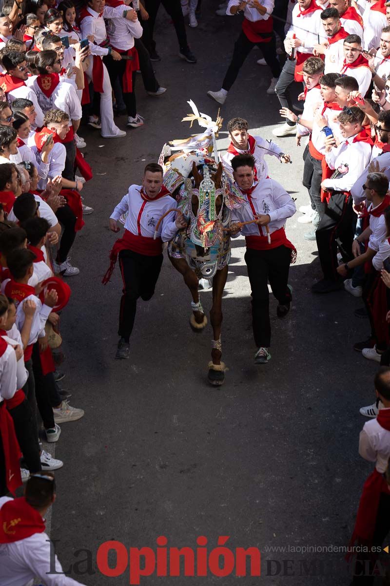 Caballos del Vino en la cuesta de la Simona