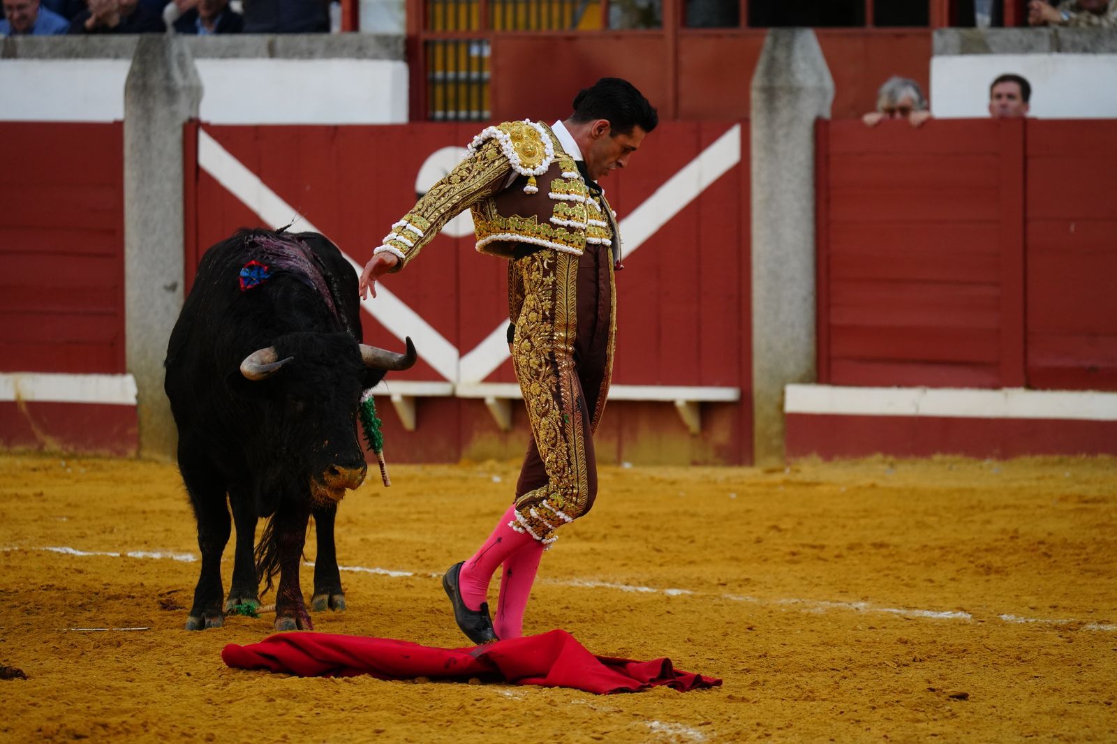 El festejo taurino de Pozoblanco, en imágenes