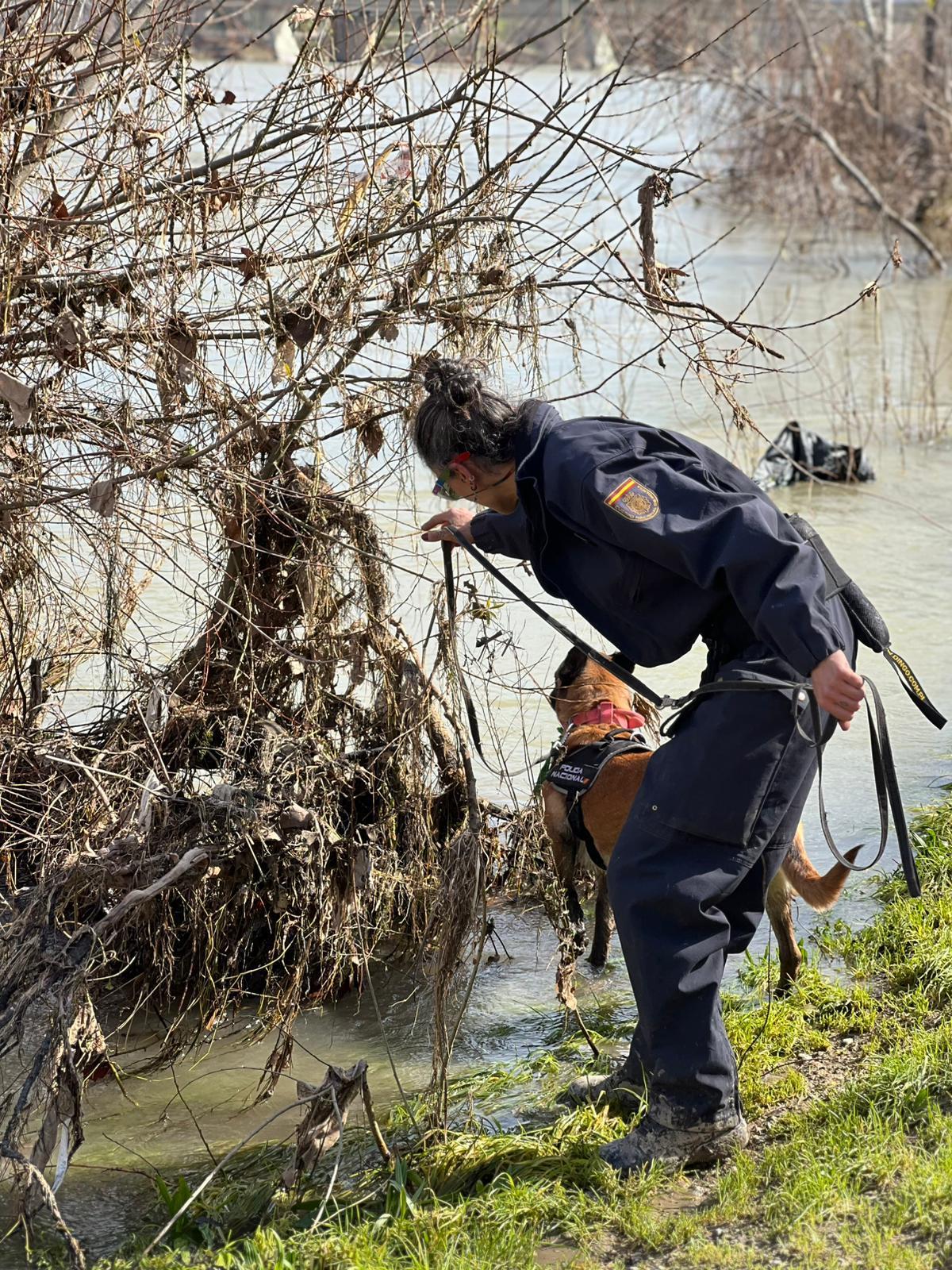 El dispositivo de búsqueda de Pablo Cebolla incluye perros de trastreo de personas.