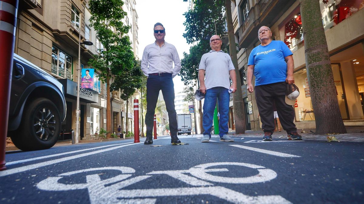 Portavoces de colectivos que apoyan el carril bici, en la calle de El Pilar.