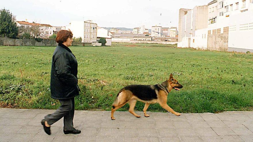 Mujer caminando con su perro.