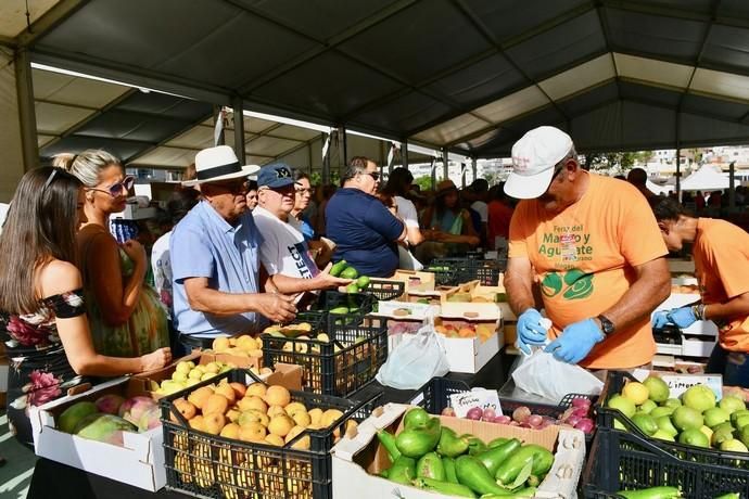 IV Feria del Mango y Aguacate de Mogán