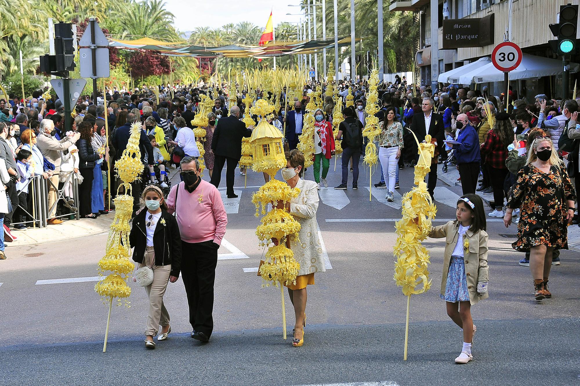 Domingo de Ramos en Elche