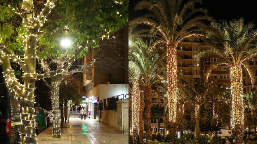 Alumbrado navideño en árboles de Alicante, pese a estar prohibido