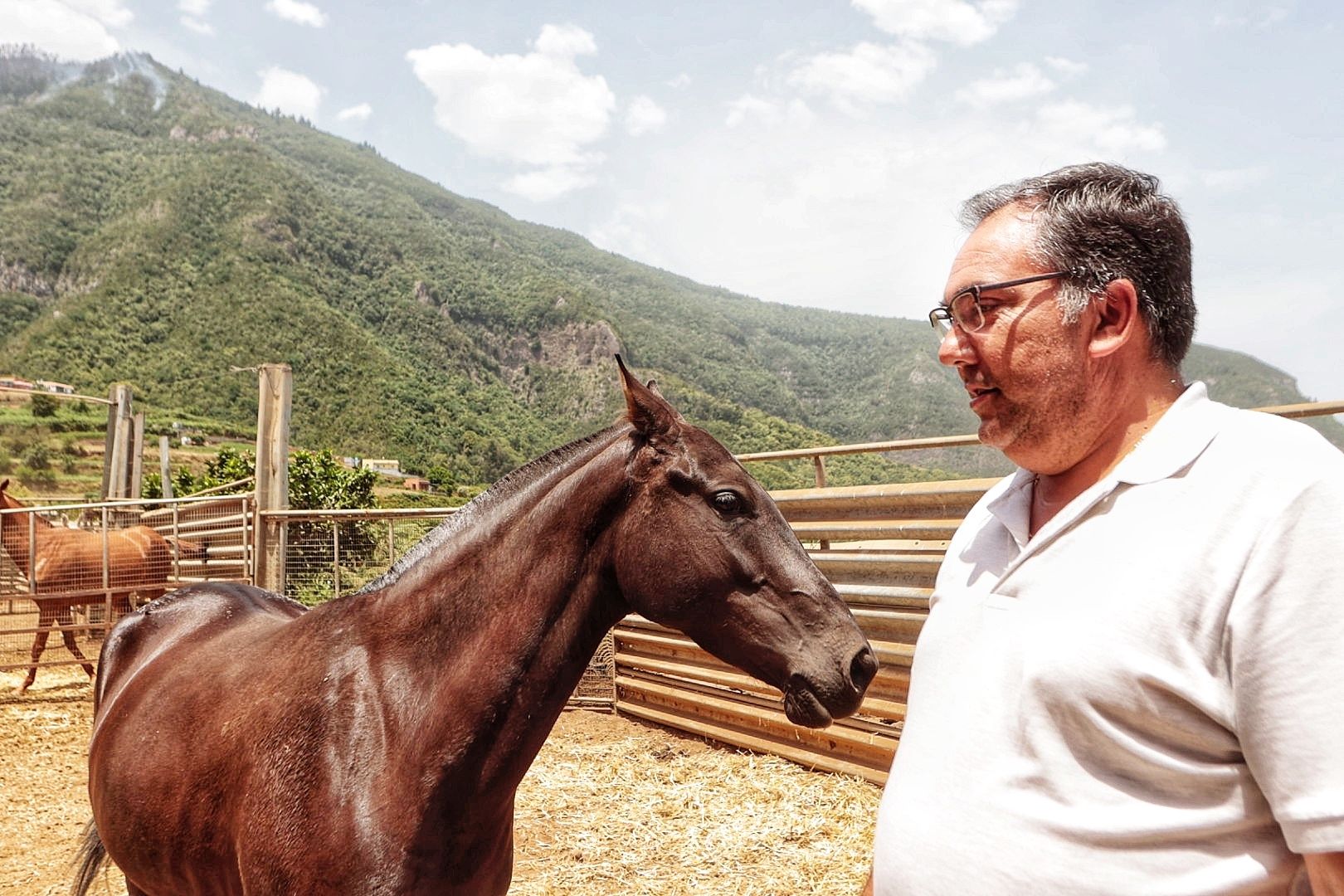 Atención a los animales desalojados por el incendio