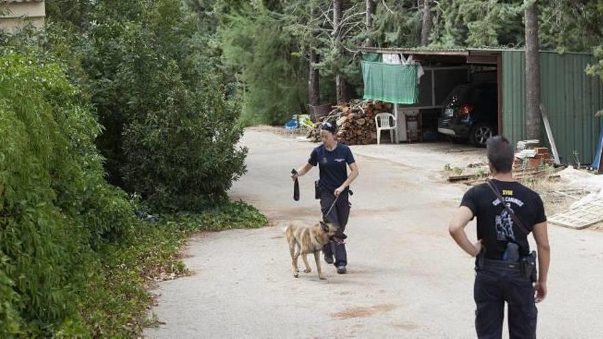 Los agentes rastrean con perros una finca propiedad de la familia del principal sospechoso.