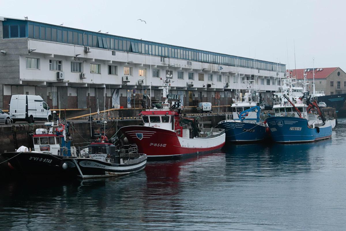 Barcos pesqueros en el Puerto de Vigo.