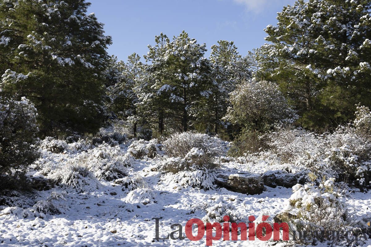 La nieve se hace presenta en las proximidades de Revolcadores