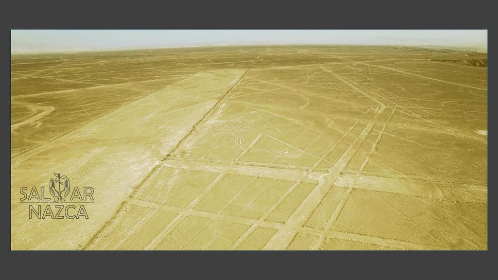 Desierto Verde en la época Actual