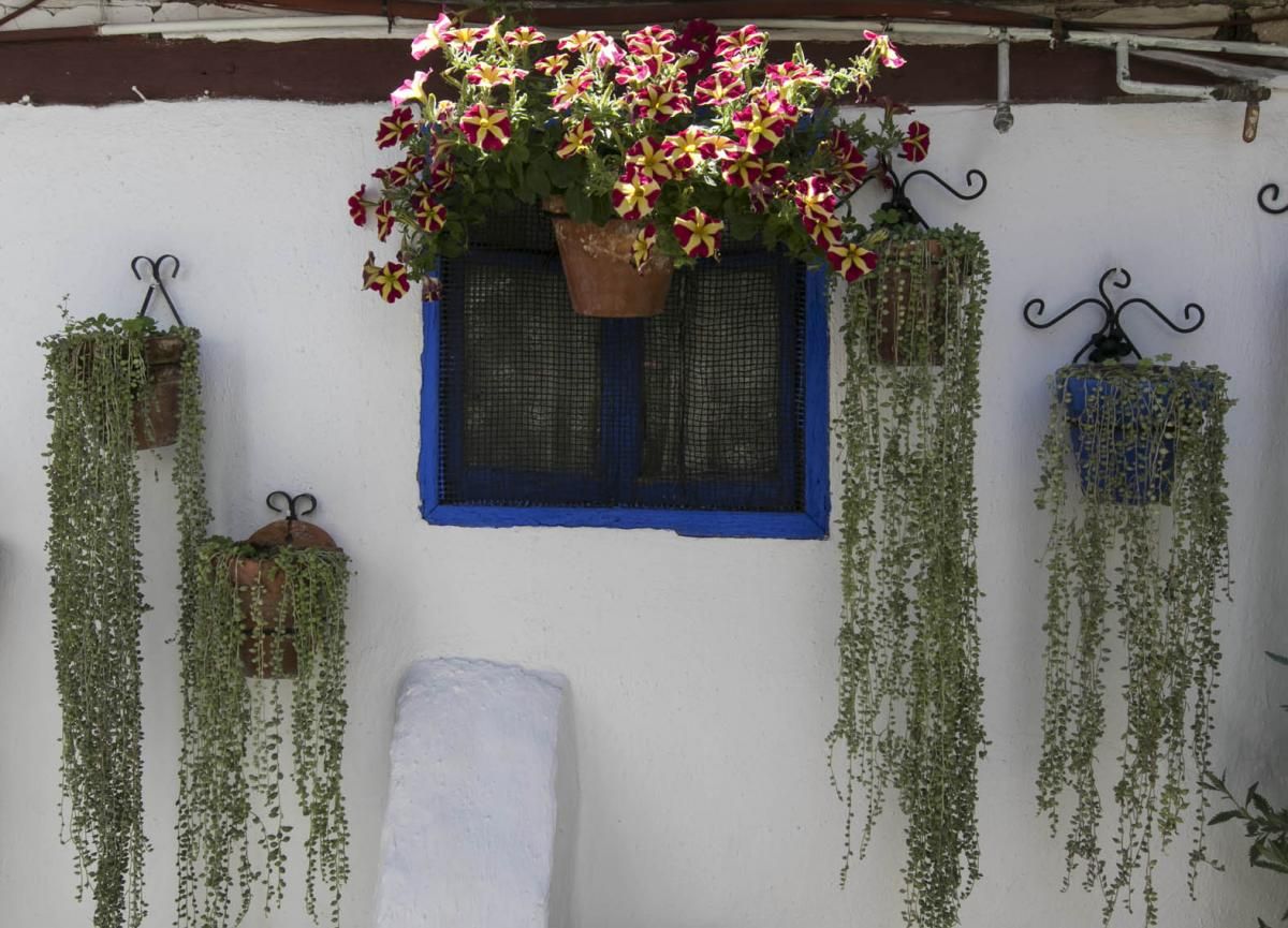 Fotogalería / Descubriendo los patios de la ruta Santa Marina-San Agustín