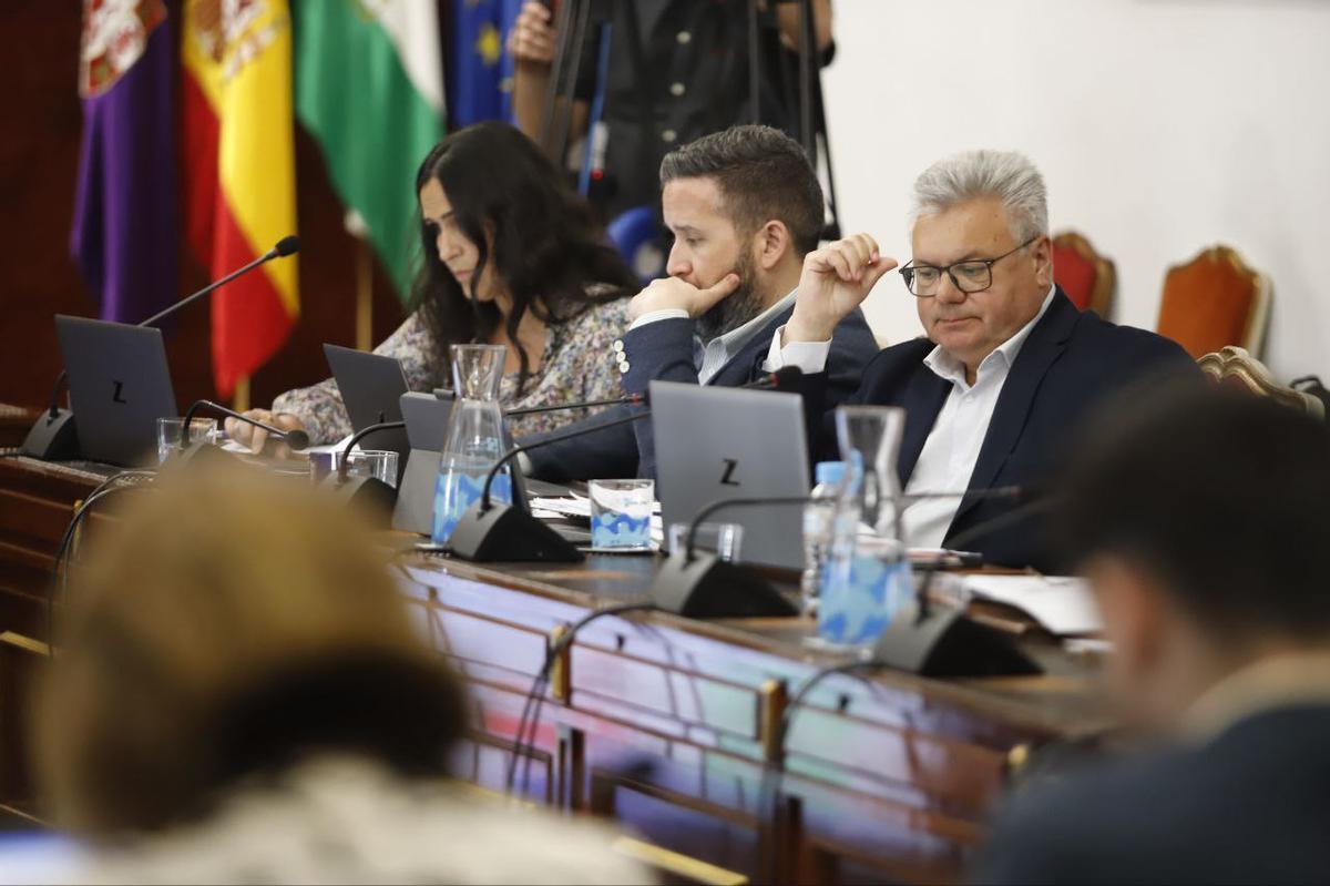Parte del grupo del PSOE en la Diputación de Córdoba.