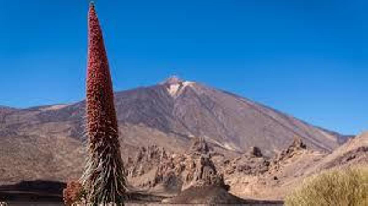 Parque Nacional del Teide.