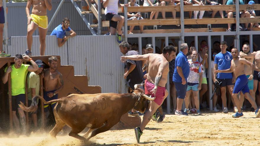 &quot;El riesgo cero no existe en los bous al carrer... Se ha perdido el miedo al toro&quot;