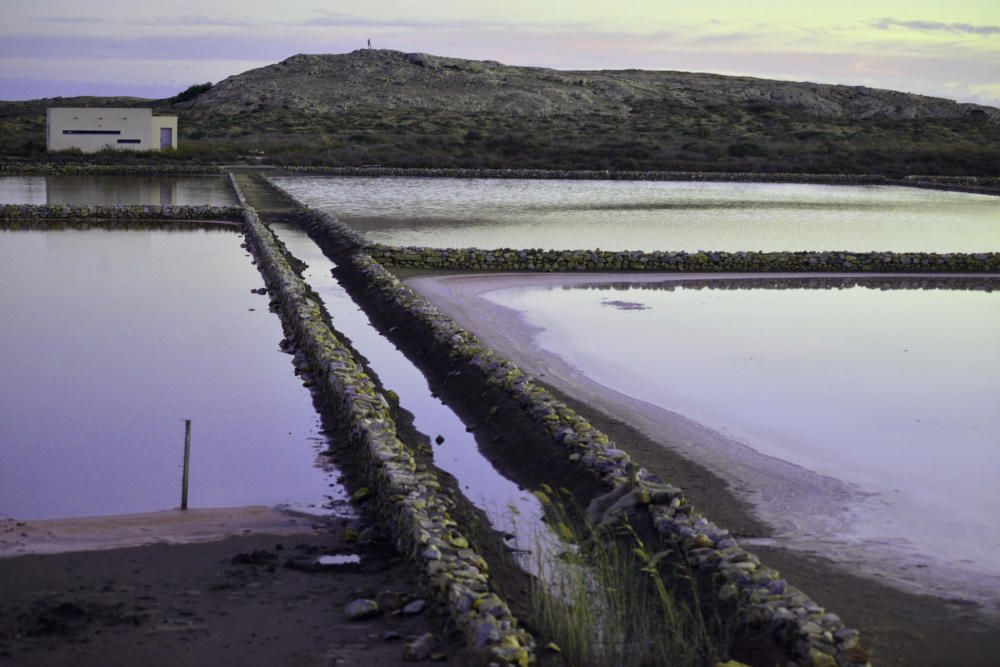 Entorno salinero del Rasall (Calblanque)