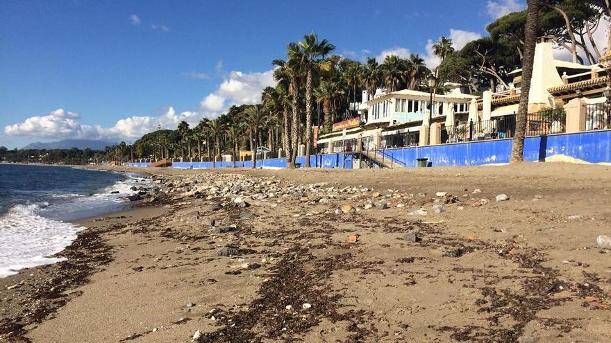 Piedras y restos de cañas cubren parte de la orilla de la playa de Casablanca.