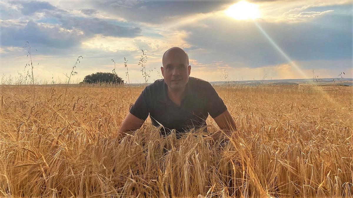 Juan Cereijo, fundador de la cervecera Mica, en un campo de cebada de Fuentebro (Burgos) con la que elabora las birras.