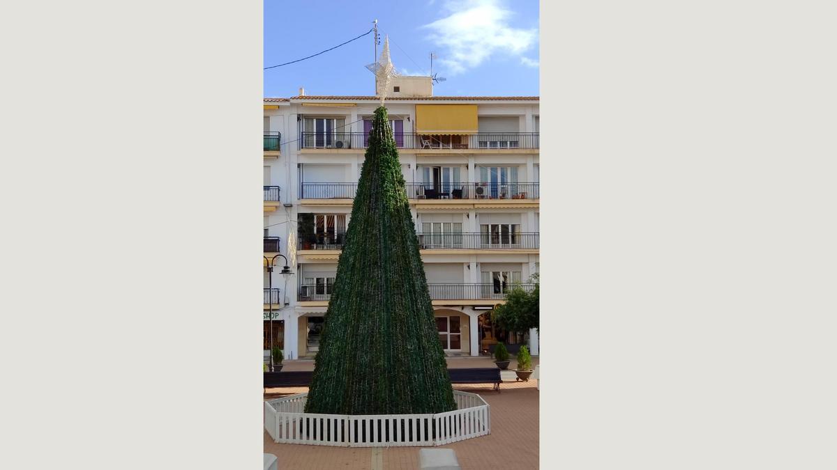 Árbol en la Plaza Ayuntamiento